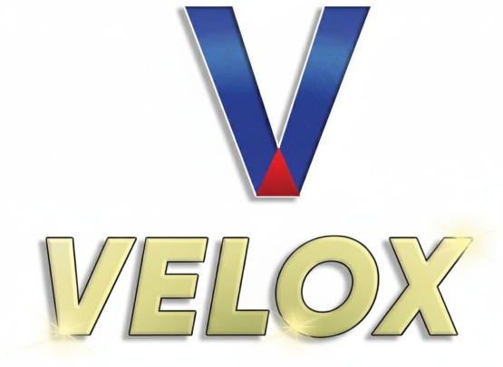 نبذة عن الشركة